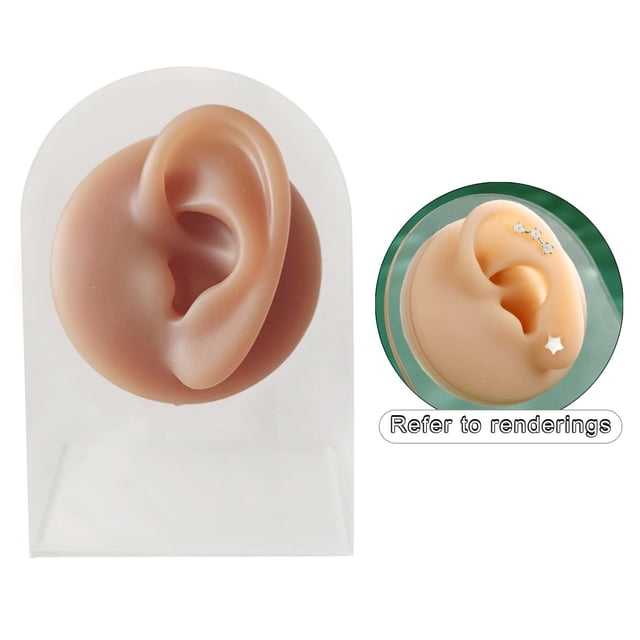 Human Models Practical Soft Feelings Silicone Modeling Delicate Texture Bubbles for Exercises Demonstration Tool - left ear with stand