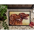 thumbnail image 3 of Caroline's Treasures CDCO0225JMAT Ensemble Irlandais Tapis Intérieur Ou Extérieur - 24 x 36, 3 of 4