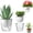 White-1, variant on 2 Pack 4" Self Watering Planter Pots,Tutuviw Clear Plant Pot for Indoor,Flower Pots Clear Bottom with Wick,Desktop Plant Pot Propagating Hydroponic for African Violet,Herbs,Home Decor