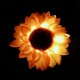 thumbnail image 3 of Lámpara solar LED de girasol para exteriores, jardín, villa, patio, césped y toma de tierra., 3 of 5