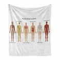 thumbnail image 1 of Human Anatomy Soft Flannel Fleece Throw Blanket, Body Central Nervous Network Skeleton Neurons Image Muscle System Print, Cozy Plush for Indoor and Outdoor Use, 60" x 80", Multicolor, by Ambesonne, 1 of 6
