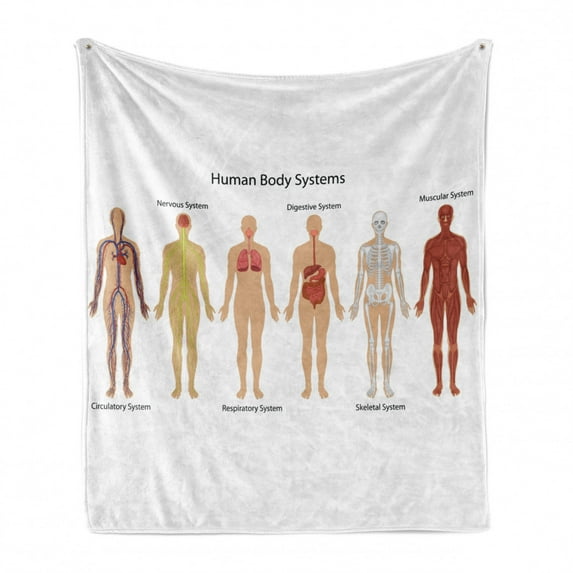 Human Anatomy Soft Flannel Fleece Throw Blanket, Body Central Nervous Network Skeleton Neurons Image Muscle System Print, Cozy Plush for Indoor and Outdoor Use, 60" x 80", Multicolor, by Ambesonne