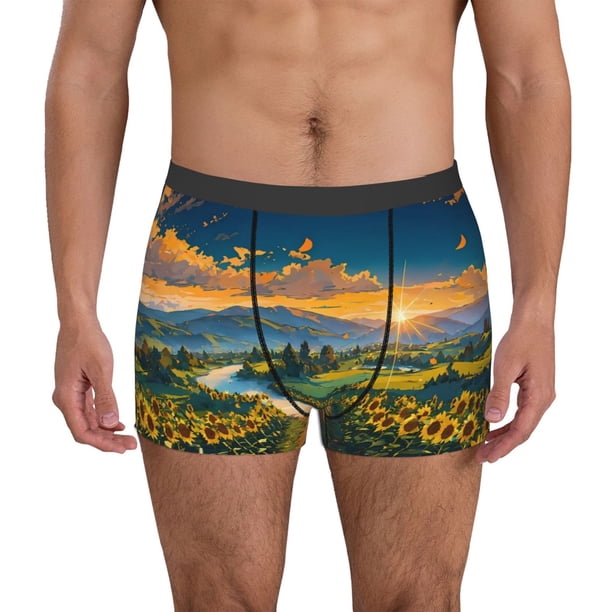 Balery Sunflowers At Sunset Calzoncillos bóxer para hombre, ropa interior de algodón suave y transpirable con cinturilla de nailon-X-Large