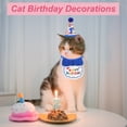 thumbnail image 4 of Decoraciones de Cumpleaños para Gatos Sombrero y Bandana Azul, 4 of 7