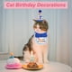 thumbnail image 4 of Decoraciones de Cumpleaños para Gatos Sombrero y Bandana Azul, 4 of 7