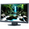 Refurbished Nec AS191WM 1440 x 900 Resolution 19" WideScreen LCD Flat Panel Computer Monitor Display