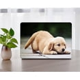 thumbnail image 1 of KSK KAISHEK Hard Shell Case Cover for 2023/2022/2021 Release MacBook Pro 14 inchs with XDR Display & Touch ID Type C Model: A2779 A2442 Animal 86, 1 of 5