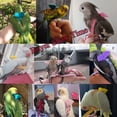 thumbnail image 3 of Parrot Harness Leash Pet Bird Harness and Leash Ultra-Light Adjustable Outdoor Flying Training Rope Bird Accessories Bird with Cute Wing for Parrots Green, 3 of 9