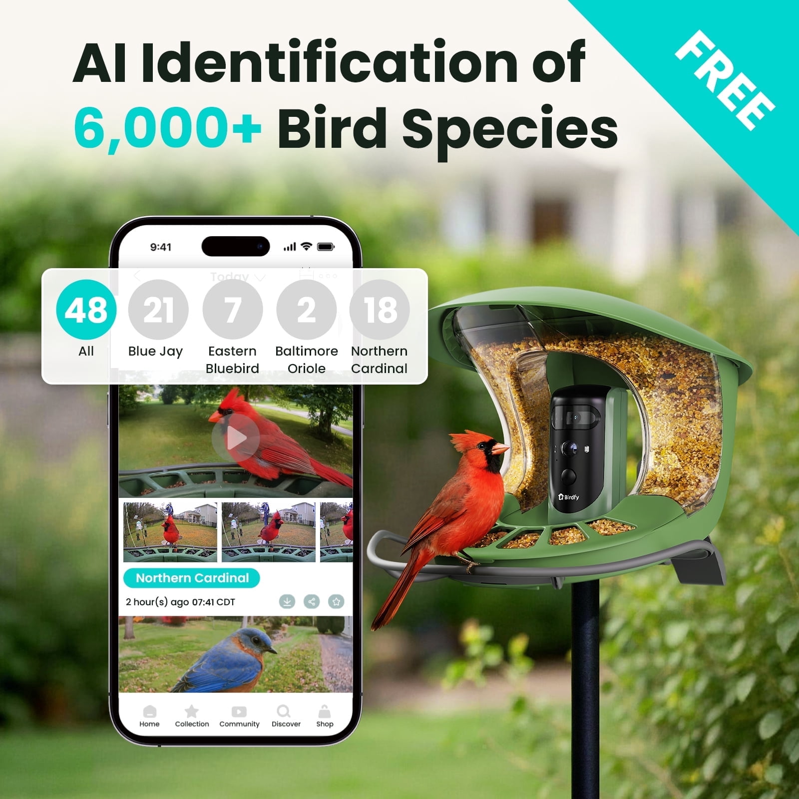 Birdfy Smart Bird Feeder with Camera, Dual-Lens, Solar-Powered, Auto-Capture Close-Ups & 99% Accurate AI Bird Identification, Lifetime Free, Perfect Gift for Bird Lovers
