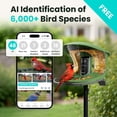 thumbnail image 5 of Birdfy Smart Bird Feeder with Camera, Dual-Lens, Solar-Powered, Auto-Capture Close-Ups & 99% Accurate AI Bird Identification, Lifetime Free, Perfect Gift for Bird Lovers, 5 of 11