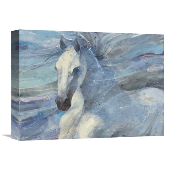 Global Gallery Albena Hristova 'Poseidon' Canvas Wall Art