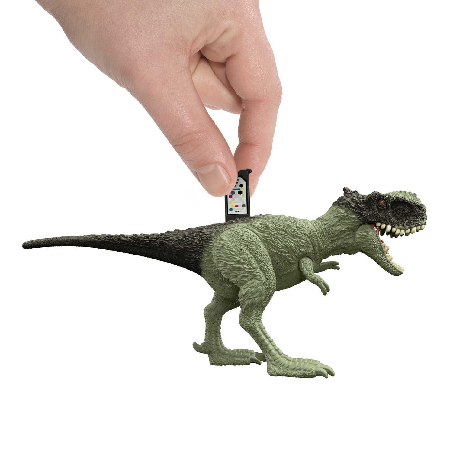 Jurassic World Ferocious Pack Dinosaur Action Figure Rugops Primus 3 Year Olds & Up