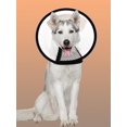 thumbnail image 1 of 1pc Pet Recovery Collar, 1 of 5