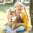thumbnail image 5 of Valentine's Day Breathable Chiffon Yarn Pet Scarf Pack of Two - Translucent Light Collars 40.6x40.6x58/16x16x22.8in & 53.3x53.3x76.2/20.9x20.9x30 in, 5 of 5