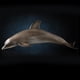 thumbnail image 5 of Animales Oceánico Pintados Con Fines Educativos shamjiam Juguetes Sensoriales Juegos de Pesca, 5 of 8