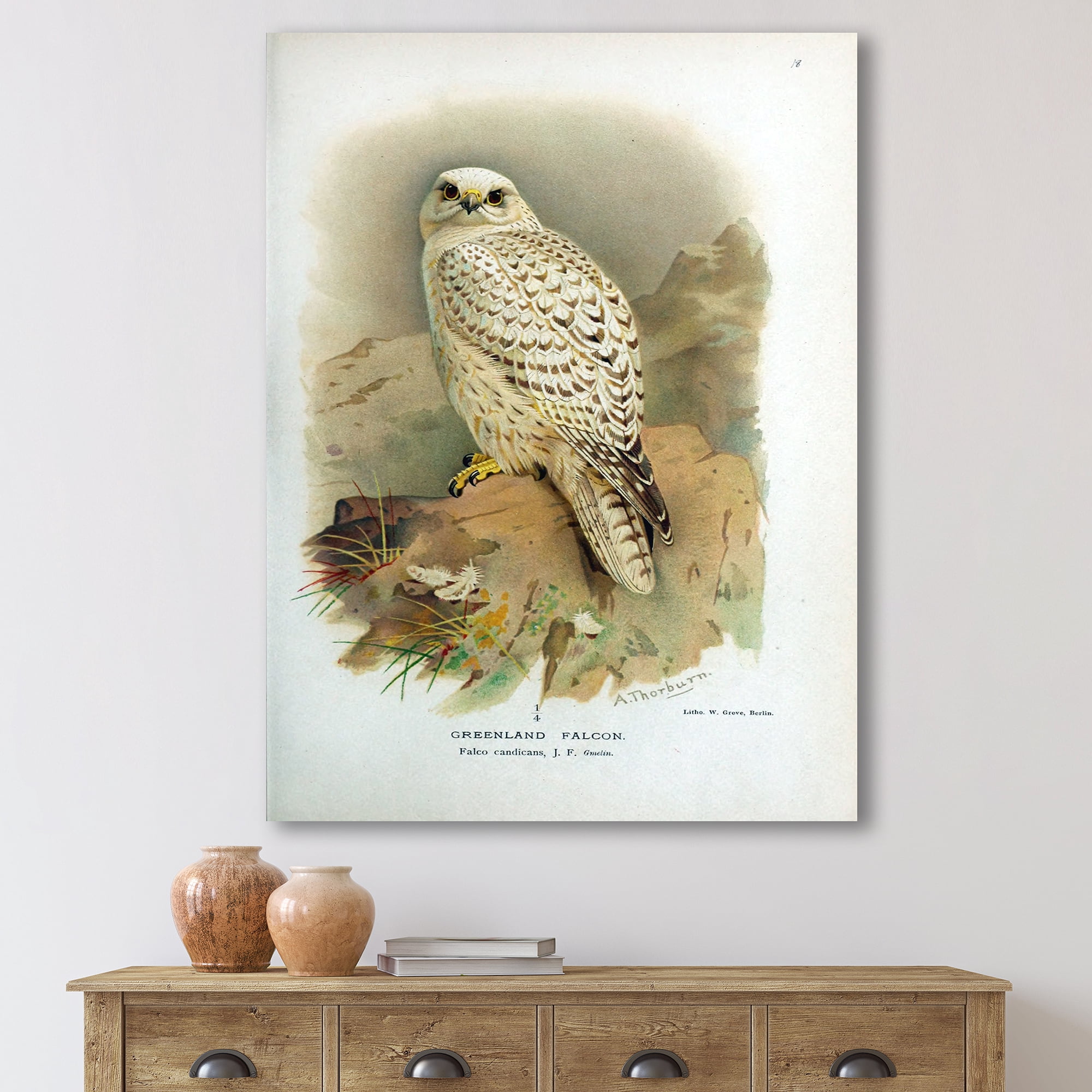 Designart ' Ancient Bird Life VII ' Traditional Canvas Wall Art Print
