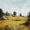Vintage Countryside Landscape, variant on UXIEQU Swan Couple Lake Scenery Canvas Wall Art 15.75x11.81 Inches