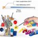 thumbnail image 4 of 50 Pcs Paint Brushes , Small Paint Brushes Bulk For Detail Painting, 4 of 5
