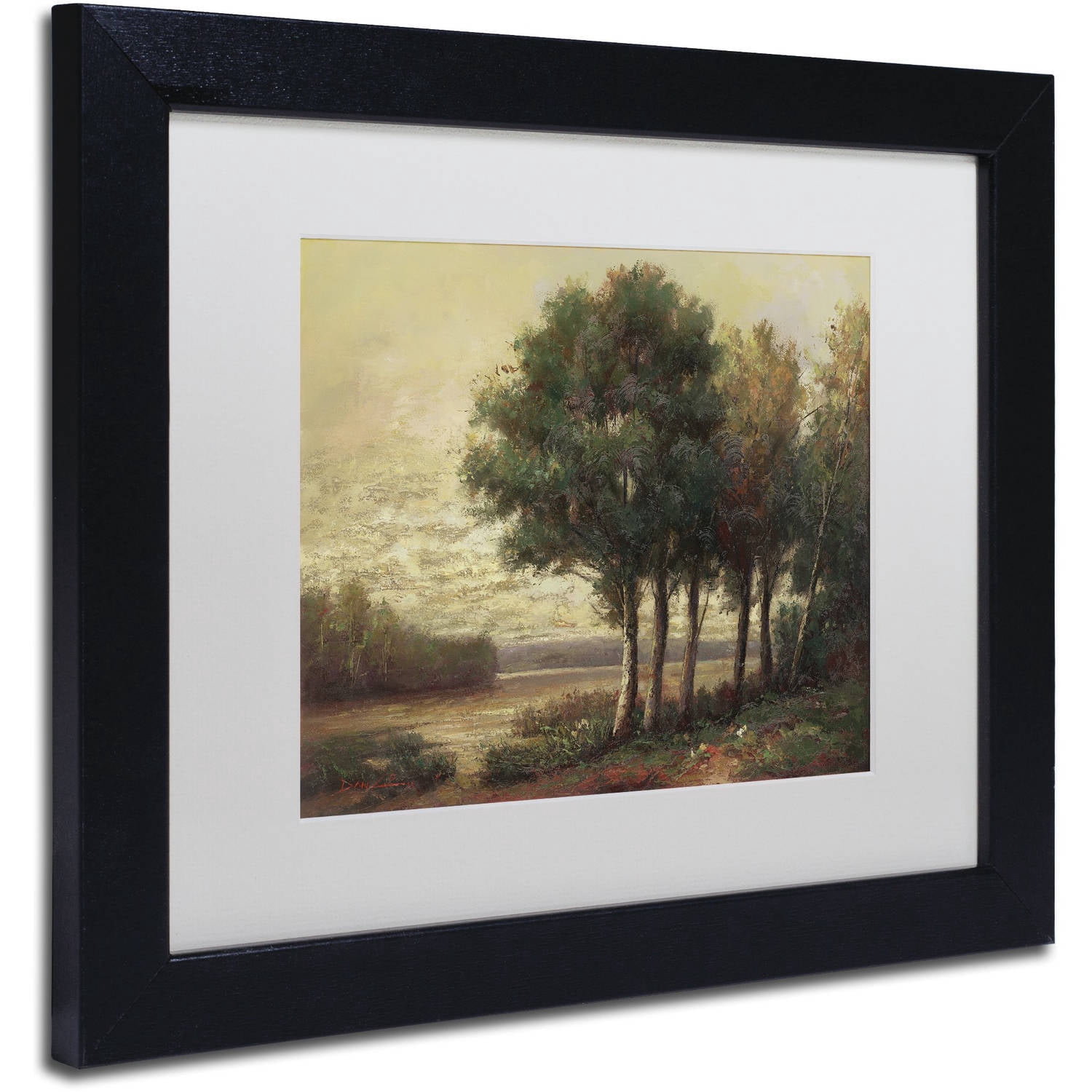 Trademark Fine Art "Tranquility" Canvas Art by Daniel Moises, White Matte, Black Frame