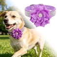 thumbnail image 2 of LLDYYDS Cute Dog Collar with Bling Rhinestone, Fancy Diamond Glitter Pretty Jewel Soft Cat Collars for Small Medium Large Breed Dogs Girl XS, 2 of 6