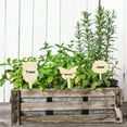 thumbnail image 6 of Gymnture 30pcs Wooden Plant Labels Flower Bed Inserts Plants Flowers Labels Garden Supplies, 6 of 10