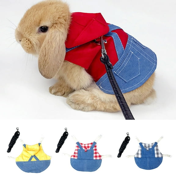 SPRING PARK 1 Set Guinea Pig Clothes,Soft Bunny Ferret Clothes with Pet Harness and Traction Rope Cute Jacket for Kitten Small Animal