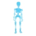 thumbnail image 1 of Modelo de de plástico de cuerpo completo para hombre de Azul eléctrico Colcomx Halloween Skeleton Man, 1 of 8