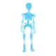 thumbnail image 1 of 3.4 '' Halloween Skeleton Cuerpo Completo Skull Hombre con Grupos Movables Grupos de Mano Figurine para Pub Decor Party Supplies Azul eléctrico BLESIY Halloween Skeleton Man, 1 of 8