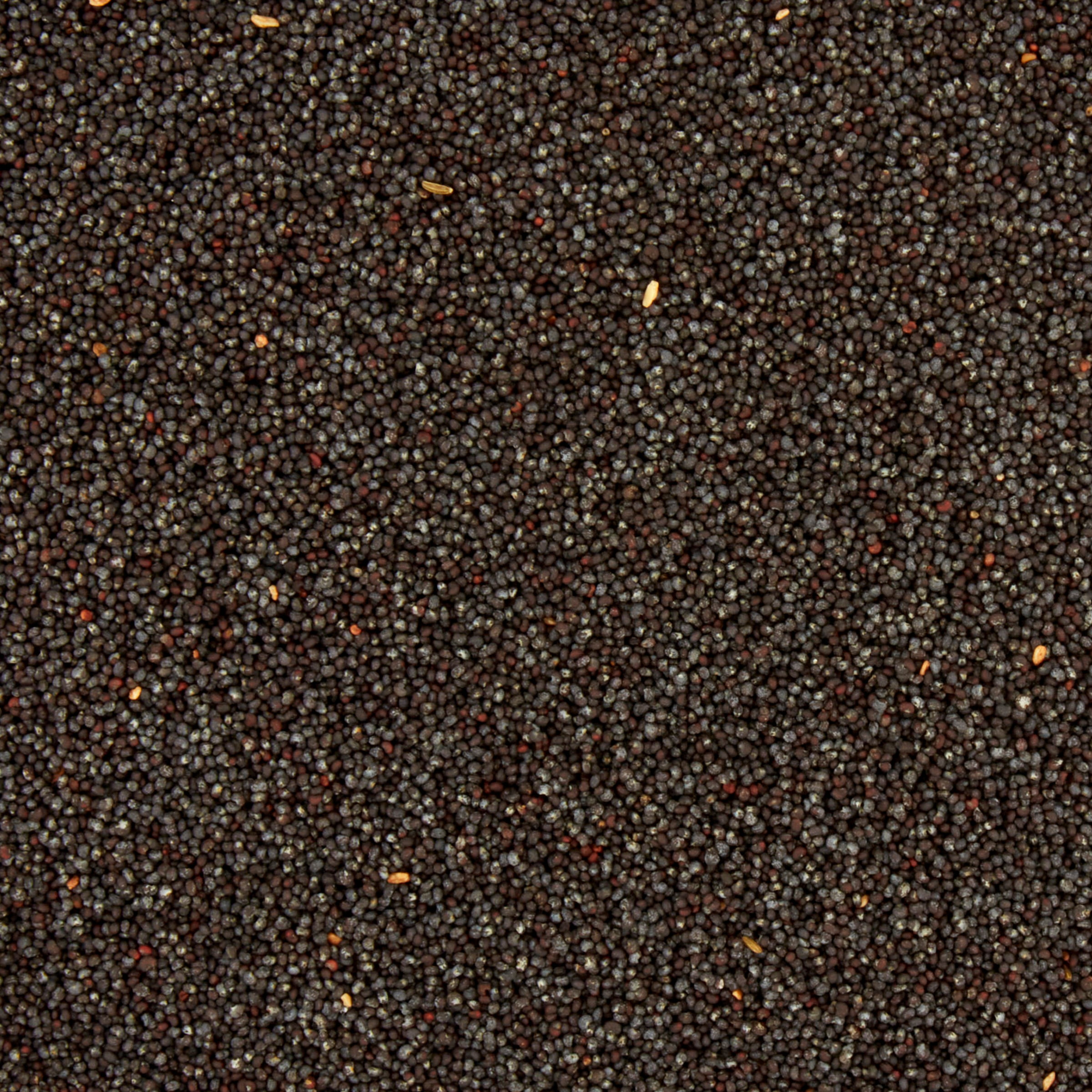 Great Value Poppy Seeds, 2.37 oz