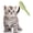 Green, variant on Pet Hair Removal Tool,Reusable Electrostatic Brush Pet Hair Collector for Fluff, Dust and Cat Dog Hair Home Office