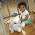 Evenflo Versatile Play Space Adjustable Play Area, 6Panel (Cool Gray