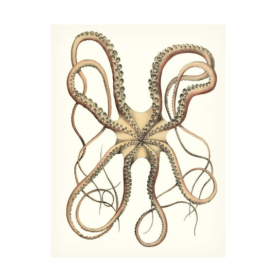 Unknown 'Antique Octopus Collection IV' Canvas Art