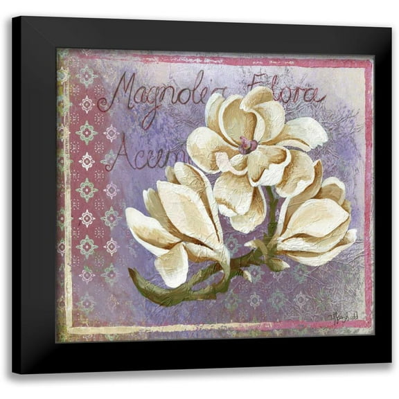 Budd, Tiffany 12x12 Black Modern Framed Museum Art Print Titled - Magnolia