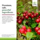 thumbnail image 5 of Suplemento de salud Terry Naturally Urinary Tract 60 cápsulas, 5 of 7