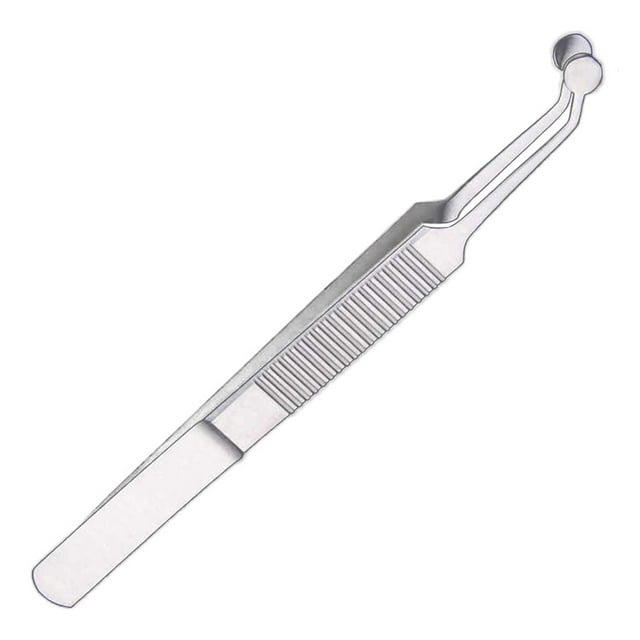 11 Cm Round Head Shape Stainless Steel Glandular Expressor Eyelid Compression Forceps