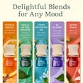 thumbnail image 3 of Lifelines Essential Oil Blend Discovery Set, Long-Lasting Scented Fragrance for Aromatherapy Diffusers, 5 Pack, 3 of 7
