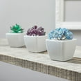 thumbnail image 5 of Mainstays Artificial Succulent Pick 3 inch x 4.5 inch Blue Sedum, 5 of 5