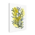 thumbnail image 2 of Trademark Fine Art 'Citron Sea Kelp II' Canvas Art by June Erica Vess, 2 of 3