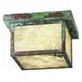 thumbnail image 2 of Meyda Tiffany 38507 Hyde Park Lotus Leaf And Dragonfly 14" Wide Flush Mount Square Ceiling, 2 of 2