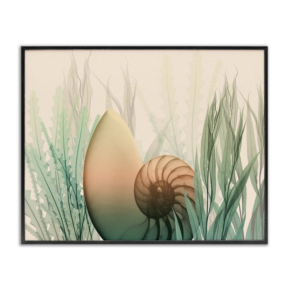 Stupell Industries Modern Ocean Seashell Seaweed Collage Black Framed Giclee Art, 14 x 11, by Albert Koetsier