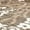 Smoke/Beige, variant on SAFAVIEH Florida Donald Floral Shag Area Rug, Beige/Cream, 3'3" x 5'3"