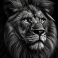 thumbnail image 6 of WYYP A Majestic Lion Round Table Cover 100% Polyester Fiber Table Cloth White, 6 of 8