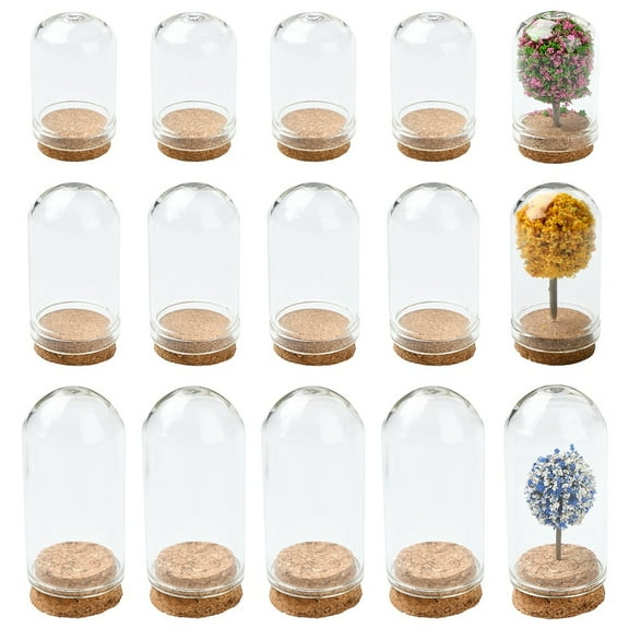 1set 15pcs 3 styles Glass Dome Cloche Cover Bell Jar with Cork Base For House Container Dried Flower Display Decoration Clear 22~30x36.5~69mm 5pcs/style