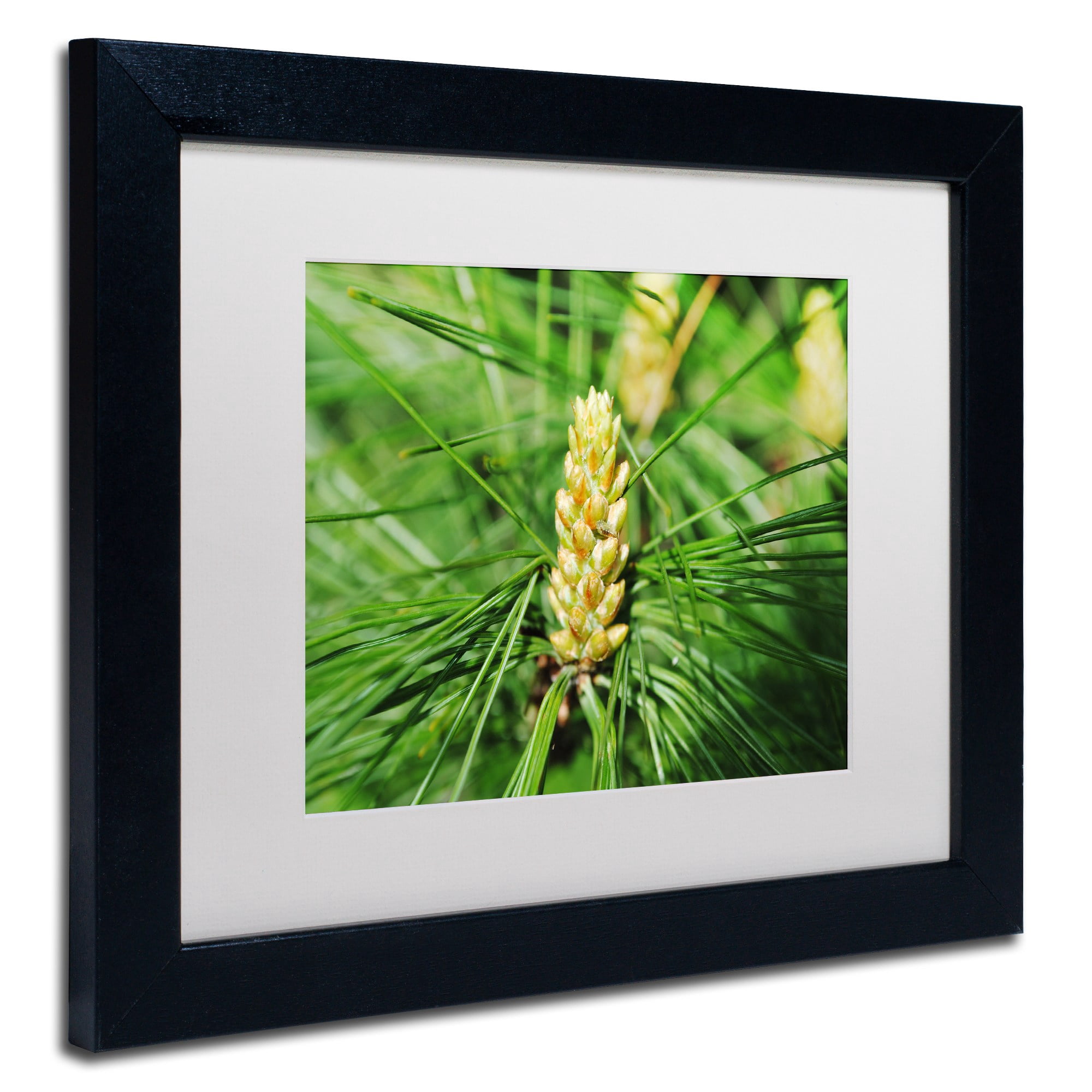 Trademark Fine Art "The Start" Canvas Art by Monica Mize, White Matte, Black Frame