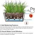 thumbnail image 5 of 27cm Self-Watering Flower Box Herb Pot With Earth Irrigation System Green Set Of 3 Plastic Flower Pot Planter Rectangle For Kitchen Balcony Windowsill,gticphyj, 5 of 6