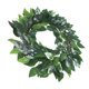 thumbnail image 5 of unbranded Adorno Colgante Para Puertas Guirnalda Simulación De Hojas Decorativa Para Fiestas, 5 of 8