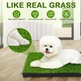 thumbnail image 3 of Dog Grass Pad with Tray, 23''X17'' Small Artificial Turf Grass Potty, Reusable Puppy Pee Pads for Dogs, Portable Dog Litter Box for Indoor/Outdoor Potty Training Toilet, 3 of 7
