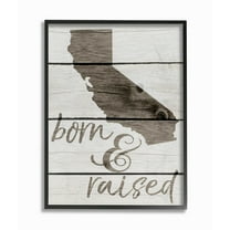 The Stupell Home Decor Collection Born And Raised Framed Wall Art
