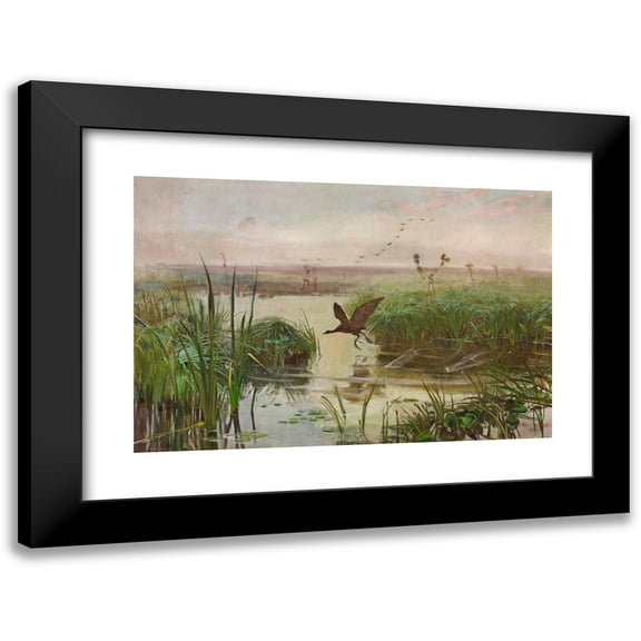 Jozef Chelmonski 14x11 Black Modern Framed Museum Art Print Titled - Common Moorhen (1894)