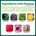 thumbnail image 3 of MacroLife Naturals MacroMeal Vegan Protein & Superfood Powder, Chocolate, 23.8 oz, 3 of 7